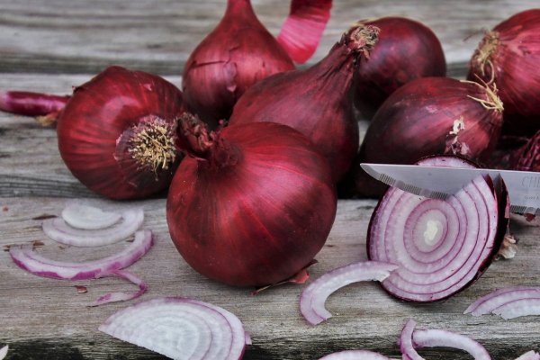 Даркнет onion сайты